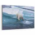 Arctic Polar Bear Art - Wildlife Animal Prints for Nature Wall Decor