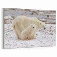 Adorable Polar Bear Family Art - Wildlife Arctic Animal Prints Decor