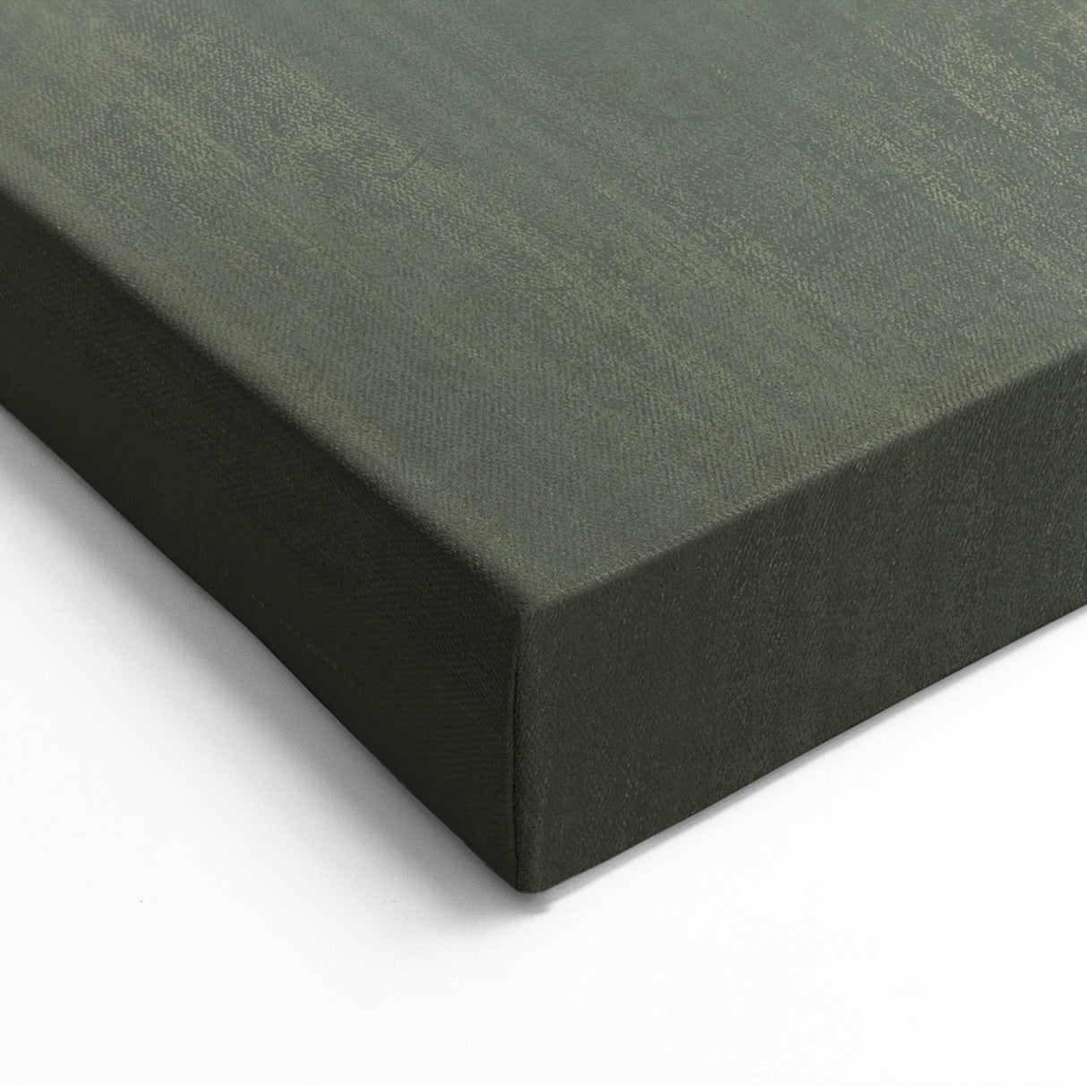 Elegant Cat Wall Art - Cute Cat Decor, Canvas & Framed Prints Available