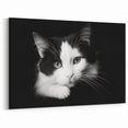 Striking Cat Wall Art - Monochrome Cat Decor, Canvas & Framed Prints