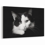 Striking Cat Wall Art - Monochrome Cat Decor, Canvas & Framed Prints