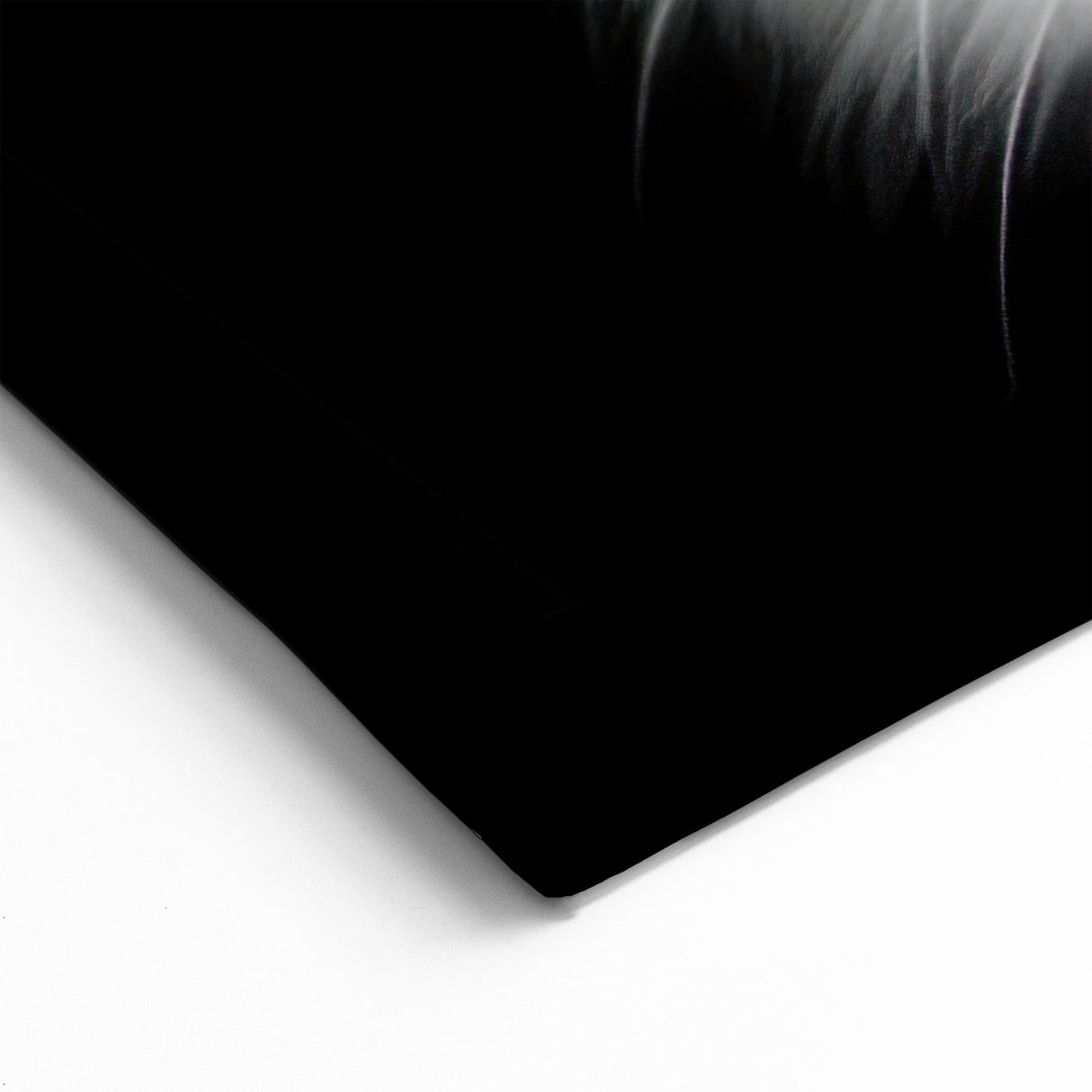 Striking Cat Wall Art - Monochrome Cat Decor, Canvas & Framed Prints