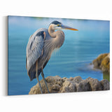 Heron Art Print - Serene Heron on Rocks Canvas for Coastal Decor