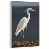 Egret Wall Art - Majestic White Egret Canvas for Elegant Decor