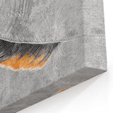 Black and Orange Feather Abstract Art - Strokes and Lines Canvas