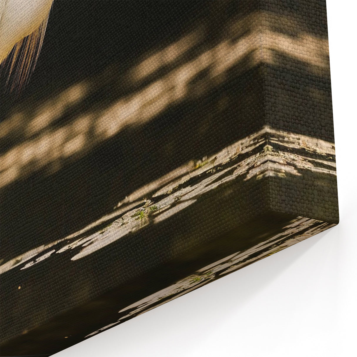 Egret Canvas Art - Graceful Egret Reflection Wall Decor for Home