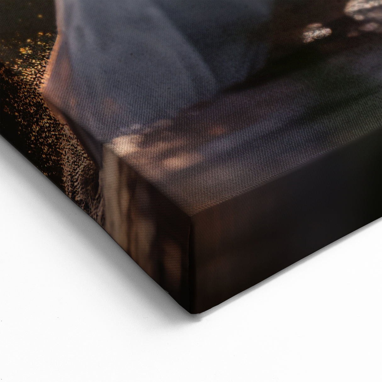 Egret Canvas Art - Dancing Egrets at Sunset Wall Decor for Home