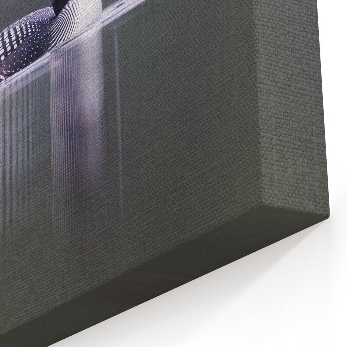 Loon Canvas Art - Majestic Loon on Water Wall Decor for Home