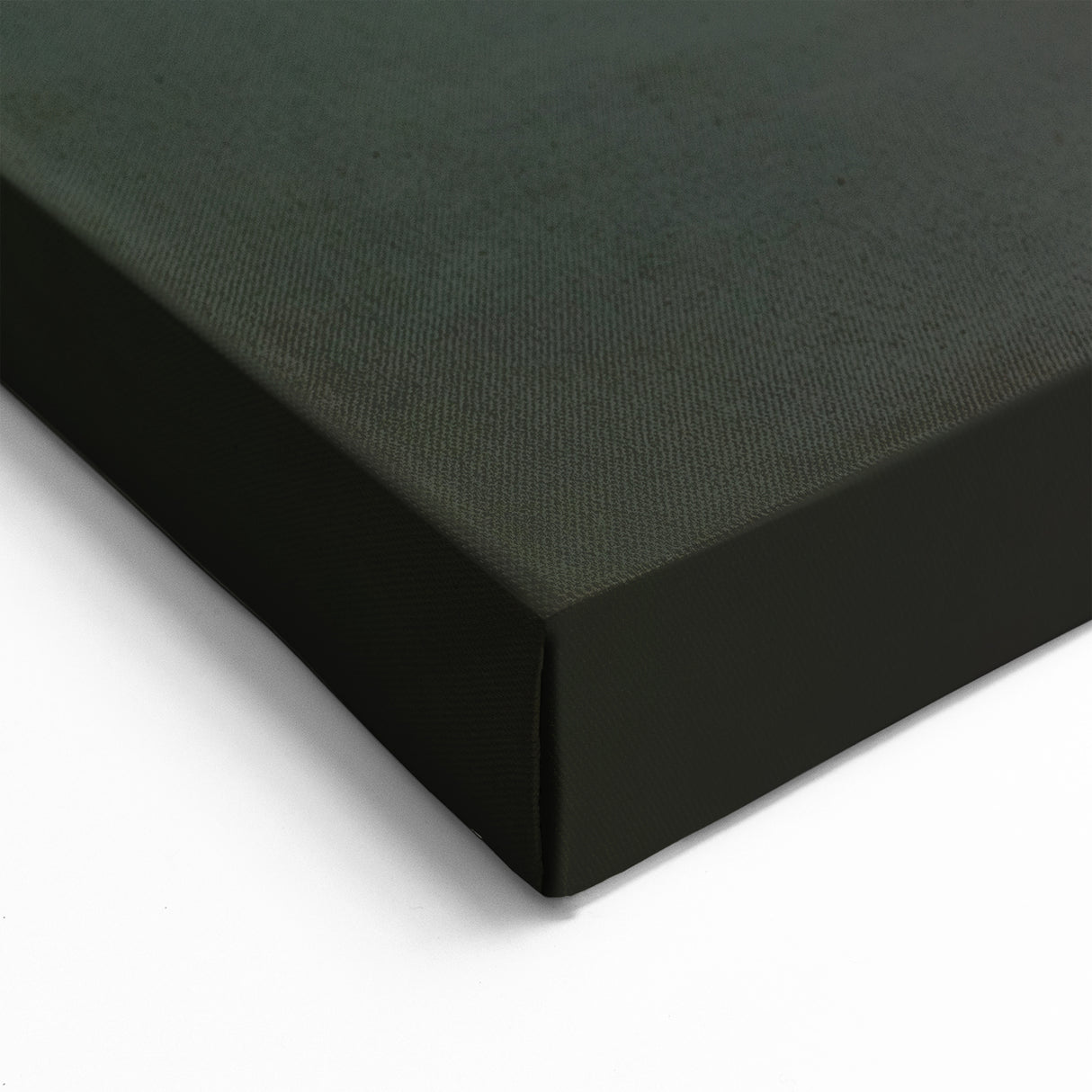 Loon Canvas Art - Majestic Loon on Water Wall Decor for Home