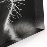 Elegant Cat Wall Art - Black & White Cat Decor, Canvas & Framed Prints