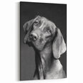Charming Dog Art Prints - Cute Dog Wall Decor for Pet Lovers