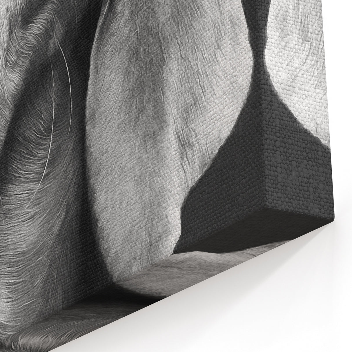 Charming Dog Art Prints - Cute Dog Wall Decor for Pet Lovers