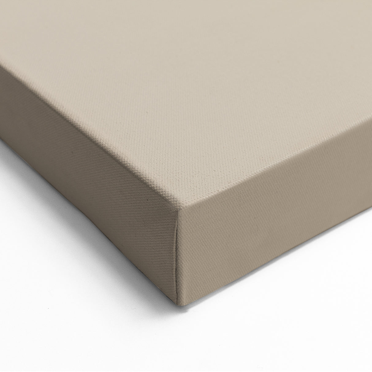 Minimalist Botanical Art in Black and Beige - Modern Simple Wall Decor