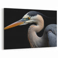 Heron Canvas Art - Striking Heron Portrait on Black Wall Decor