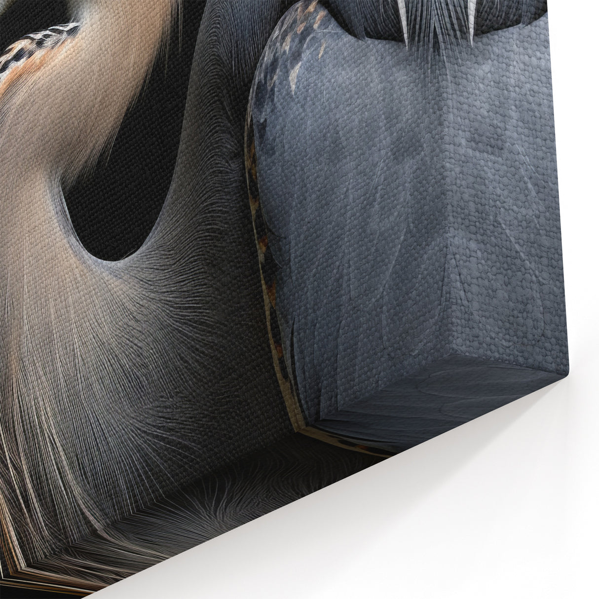 Heron Canvas Art - Striking Heron Portrait on Black Wall Decor