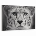 Majestic Cheetah Wall Art - Elegant Cheetah Print for Home Decor