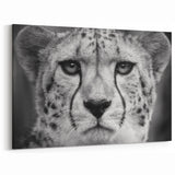 Majestic Cheetah Wall Art - Elegant Cheetah Print for Home Decor
