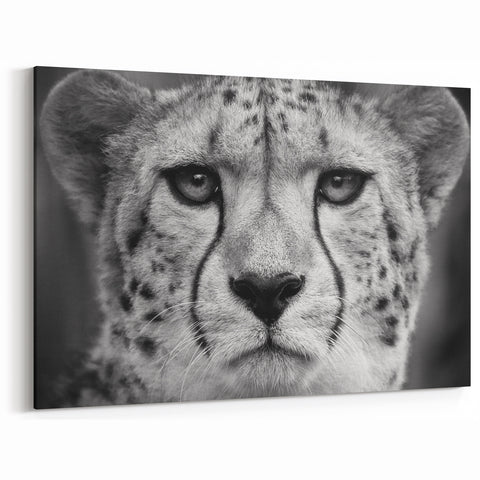 Majestic Cheetah Wall Art - Elegant Cheetah Print for Home Decor