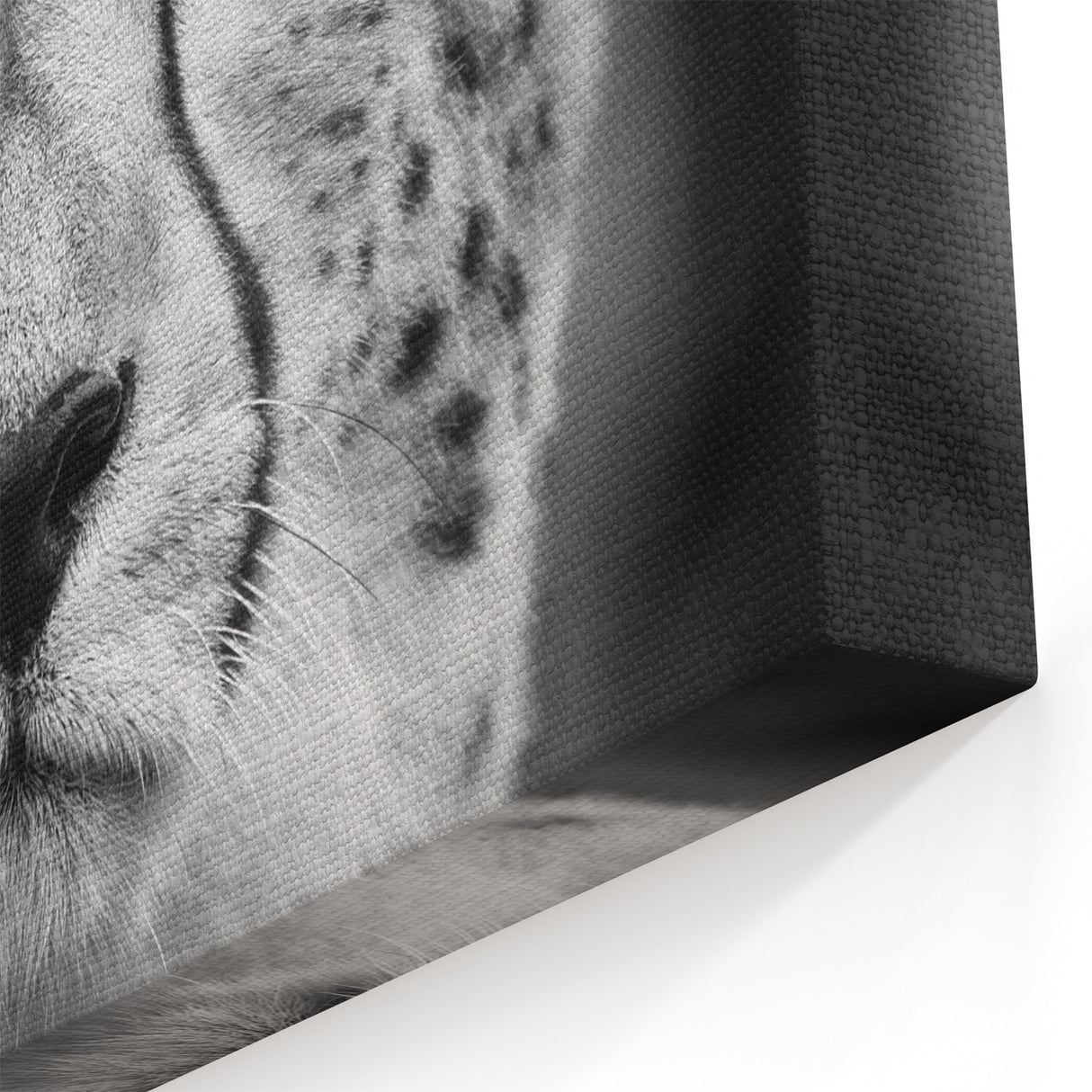 Majestic Cheetah Wall Art - Elegant Cheetah Print for Home Decor