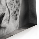 Majestic Cheetah Wall Art - Elegant Cheetah Print for Home Decor