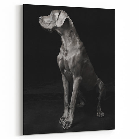 Majestic Great Dane Dog Wall Decor - Dog Art Prints & Gifts