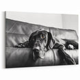 Captivating Dog Art Prints - Dog Wall Decor for Animal Lovers