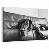 Captivating Dog Art Prints - Dog Wall Decor for Animal Lovers