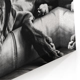 Captivating Dog Art Prints - Dog Wall Decor for Animal Lovers