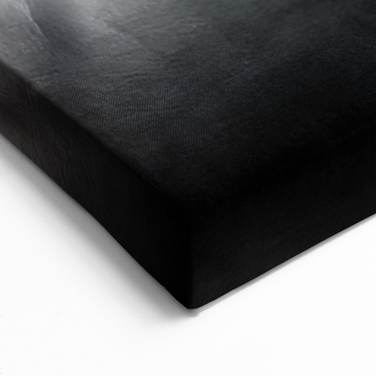 Captivating Dog Art Prints - Dog Wall Decor for Animal Lovers