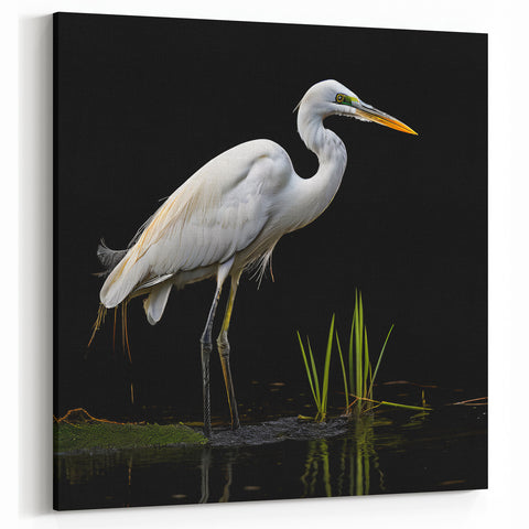 Elegant Egret Wall Art - Striking Egret Canvas Print for Sophisticated Decor
