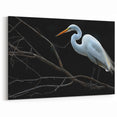 Dramatic Egret Wall Art - Elegant Egret Canvas Print for Modern Decor