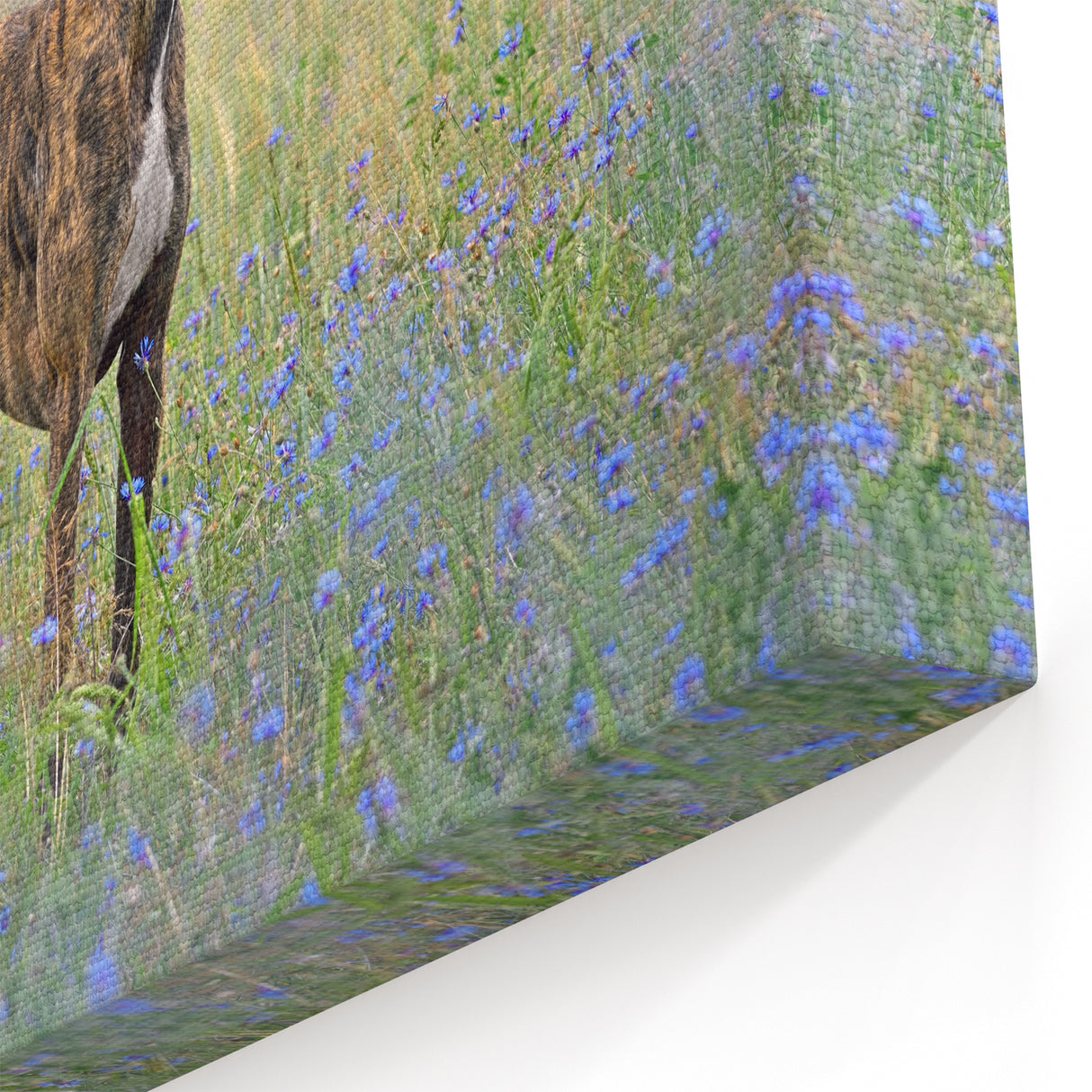 Elegant Greyhound Dog Art Prints - Dog Wall Decor for Animal Lovers