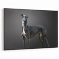 Elegant Greyhound Dog Wall Decor - Dog Canvas Art & Prints