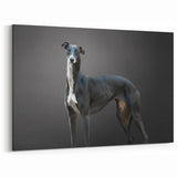 Elegant Greyhound Dog Wall Decor - Dog Canvas Art & Prints