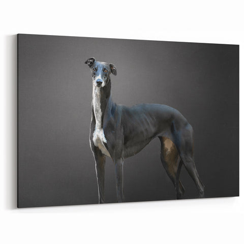 Elegant Greyhound Dog Wall Decor - Dog Canvas Art & Prints