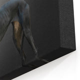 Elegant Greyhound Dog Wall Decor - Dog Canvas Art & Prints