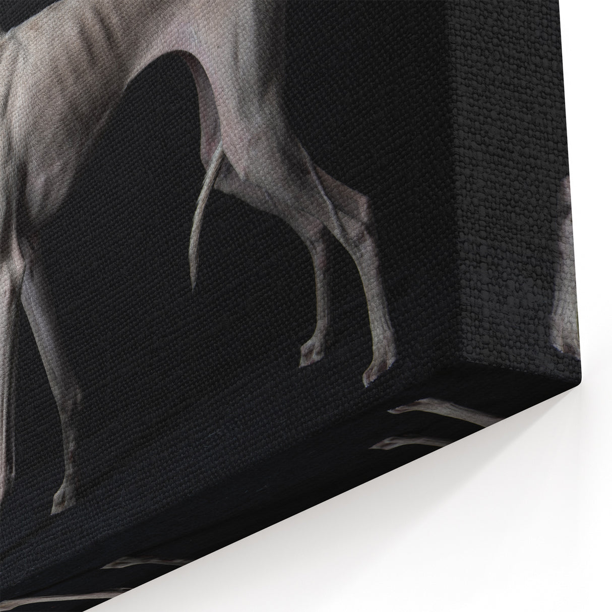 Elegant Whippet Dog Art Prints - Dog Wall Decor for Sophisticated Spaces