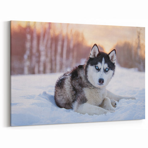 Husky Dog Winter Wonderland Wall Decor - Dog Lover Gifts & Prints