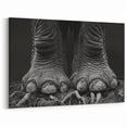 Elephant Foot Close-Up Art - Textured Wildlife Canvas & Prints