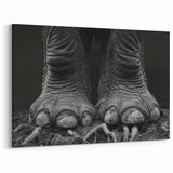 Elephant Foot Close-Up Art - Textured Wildlife Canvas & Prints