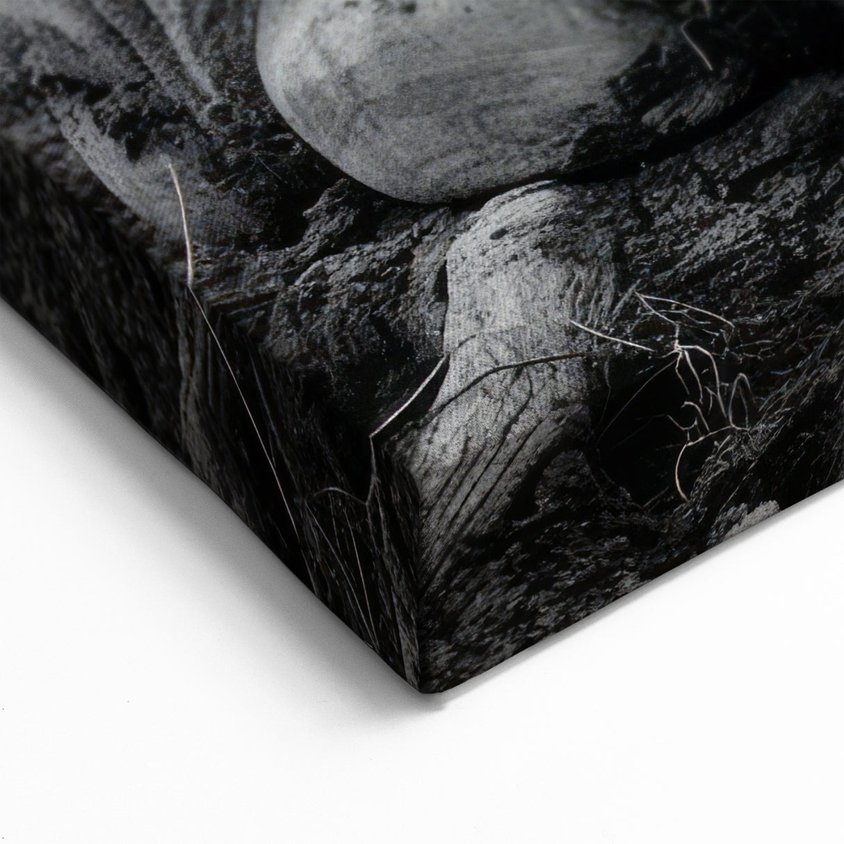 Elephant Foot Close-Up Art - Textured Wildlife Canvas & Prints