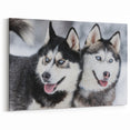 Charming Husky Duo Wall Decor - Dog Canvas Art & Prints