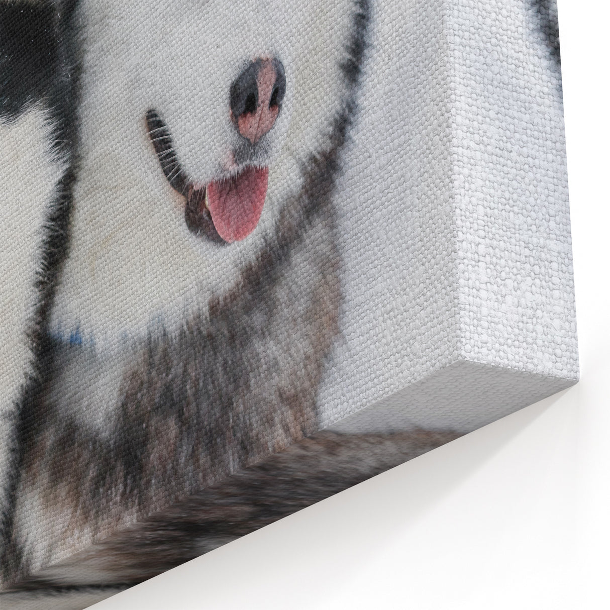 Charming Husky Duo Wall Decor - Dog Canvas Art & Prints