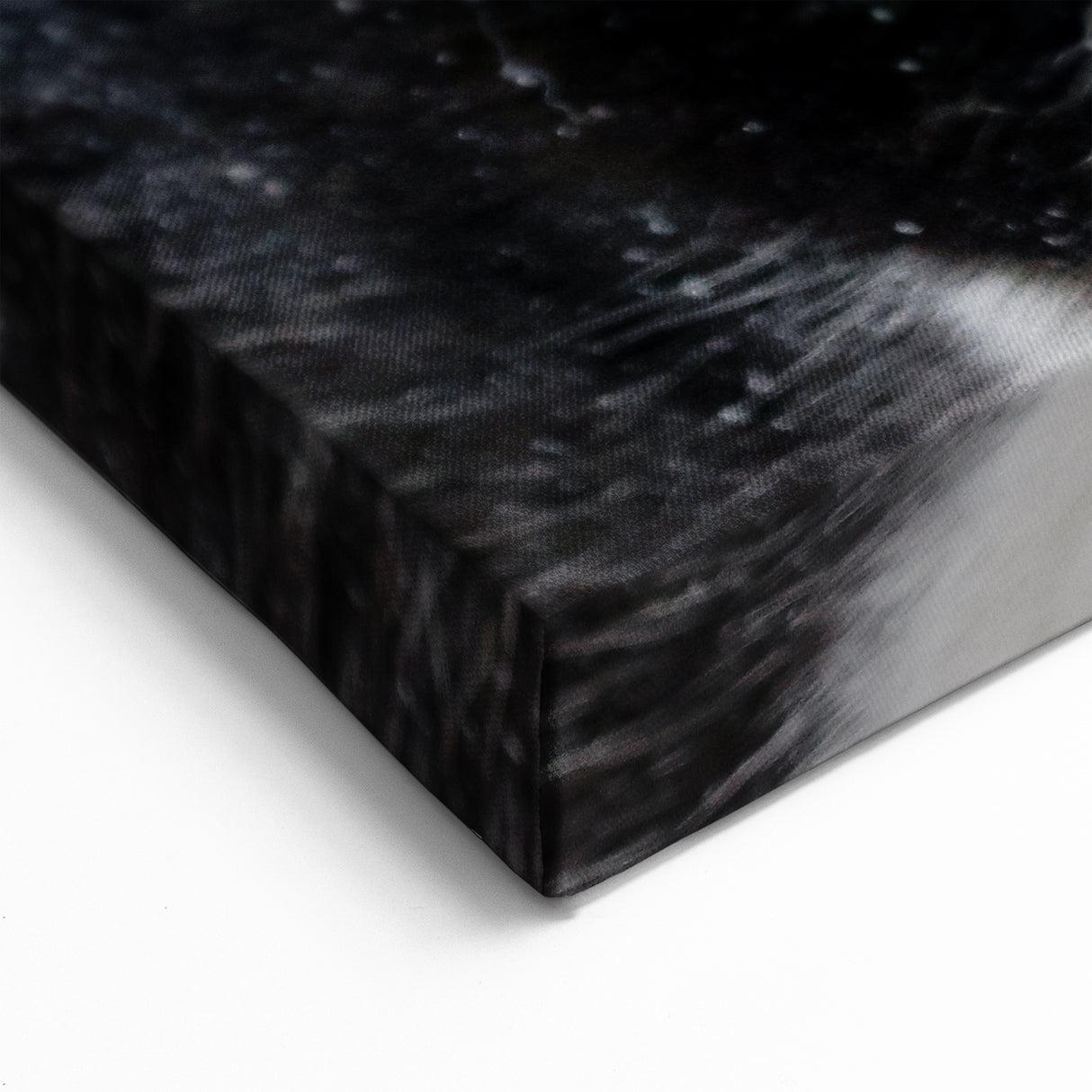 Charming Husky Duo Wall Decor - Dog Canvas Art & Prints