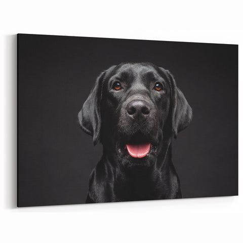 Striking Black Labrador Art Prints - Dog Wall Decor for Modern Homes