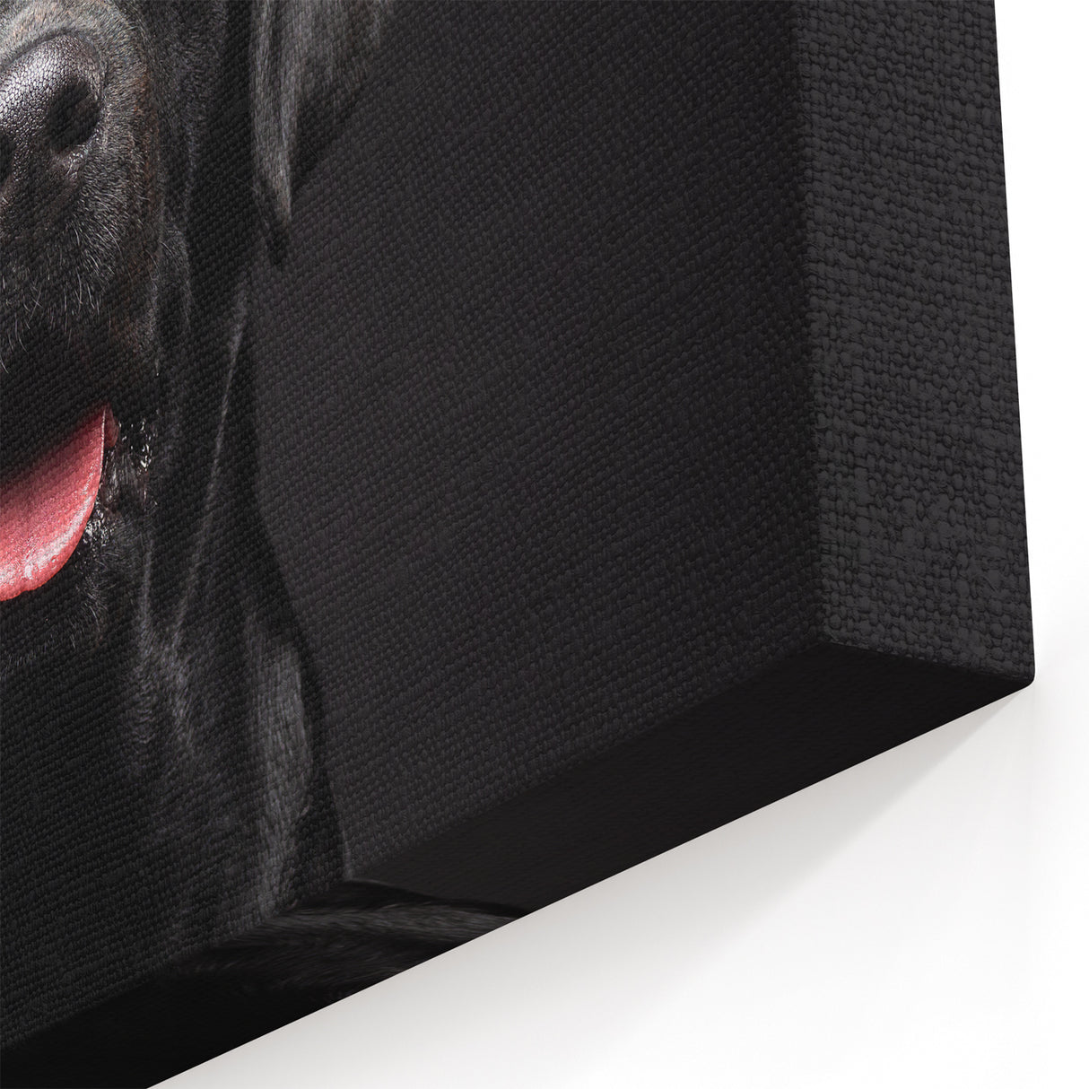 Striking Black Labrador Art Prints - Dog Wall Decor for Modern Homes