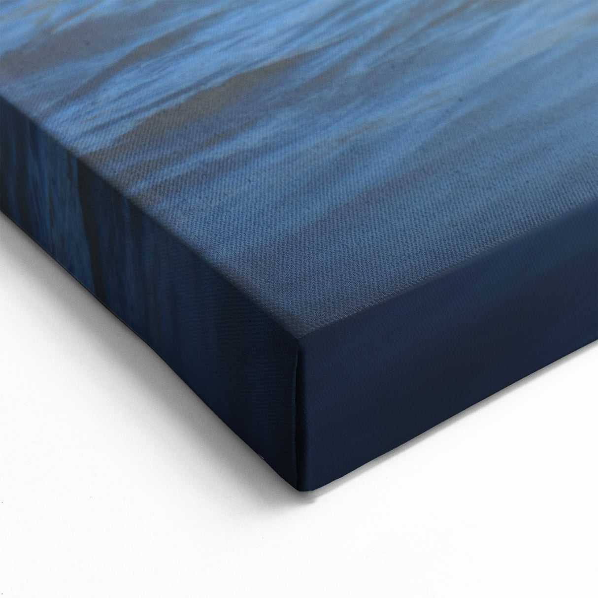 Playful Labradors in Water Wall Decor - Dog Canvas Art & Prints