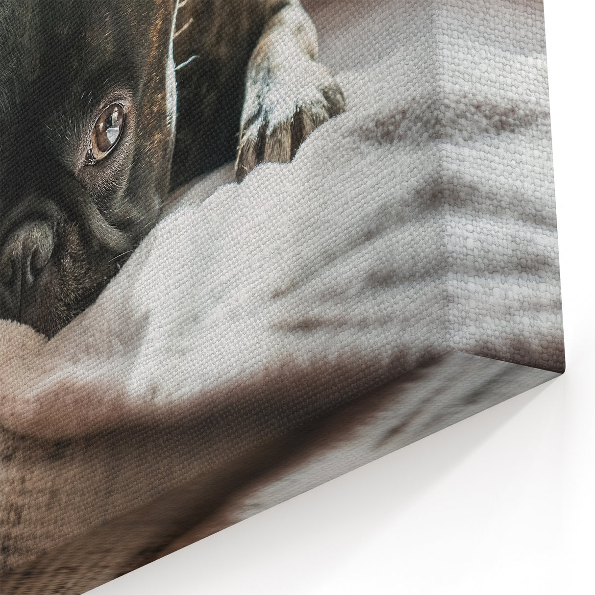 Charming French Bulldog Art Prints - Dog Wall Decor for Pet Lovers