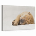 Adorable Shar Pei Puppy Art Prints - Dog Wall Decor for Cozy Homes