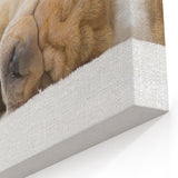 Adorable Shar Pei Puppy Art Prints - Dog Wall Decor for Cozy Homes